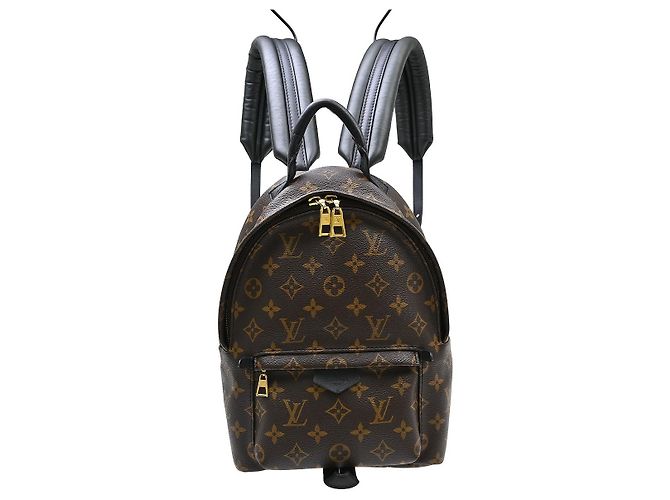 Louis Vuitton Palm Springs Monogram PM Brown