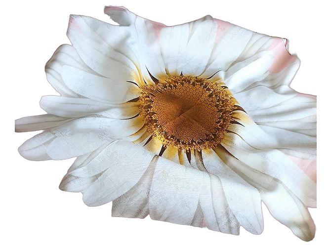 Lenço Burberry de algodão e seda com estampado de margaridas Marrom Rosa Branco Laranja