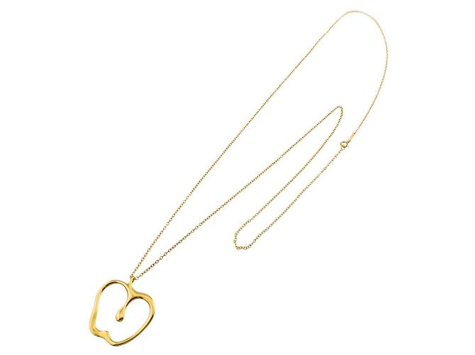 Tiffany & Co. Collana Lunga Apple Large