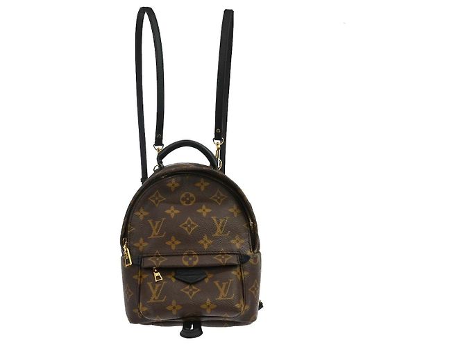 Louis Vuitton Palm Springs Monogram Mini Brown