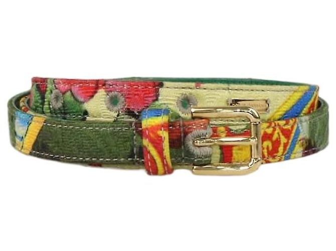 Dolce & Gabbana Multicolor Fabric and Leather Printed Thin Belt Multiple colors