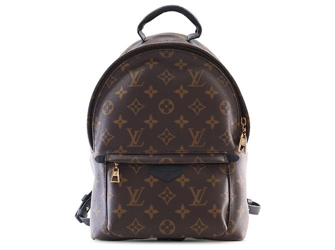 Louis Vuitton Brown Monogram Palm Springs PM Braun