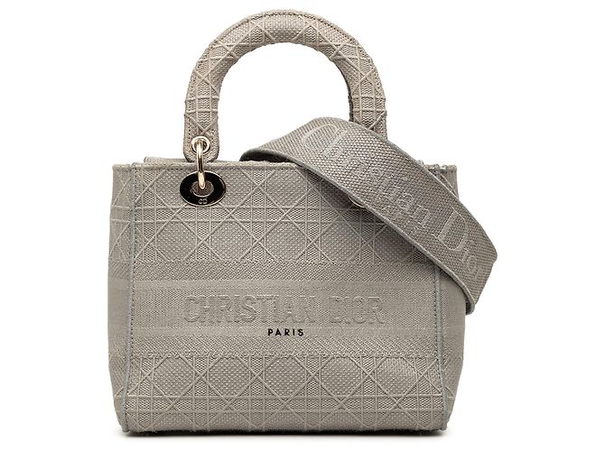Dior Gray Medium Embroidered Canvas Cannage Lady D Lite Marrone Grigio