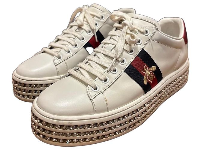 Gucci Ace Bee Platform Sneaker Weiß Rot Blau