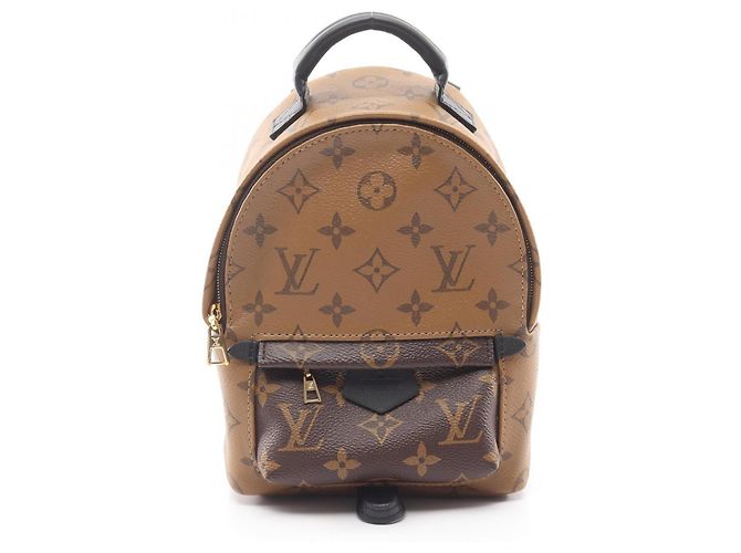 Louis Vuitton Palm Springs Mini Rucksack Marron Noir