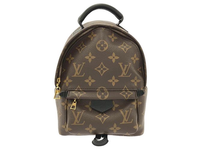 Louis Vuitton Monogram Palm Springs Backpack MINI Brown