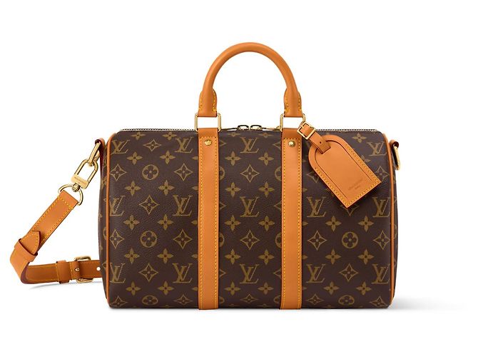Louis Vuitton Speedy 30 Monogram Canvas Marron Monogramme