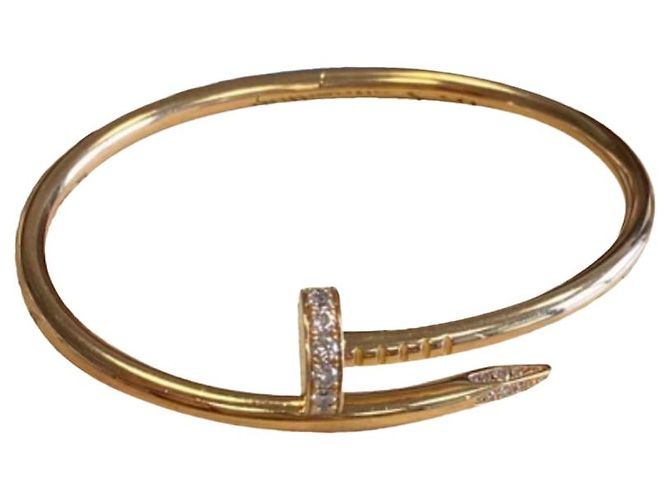 Pulseras Cartier Juste Un Clou Pm Multicolor
