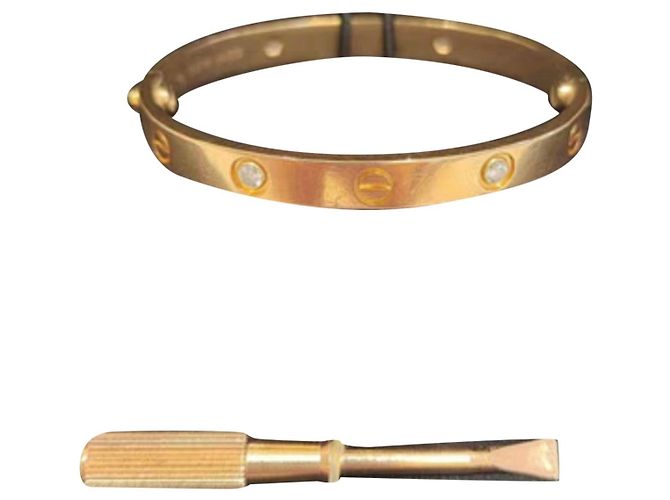 Esclavas Cartier Love Multicolor