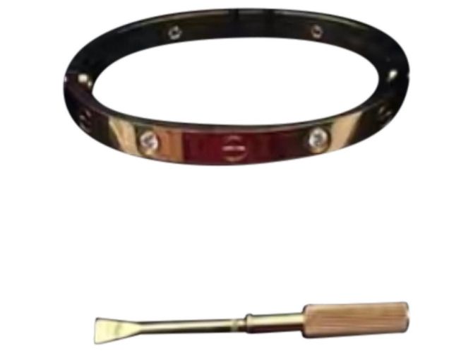 Pulseras Cartier Love Multicolor