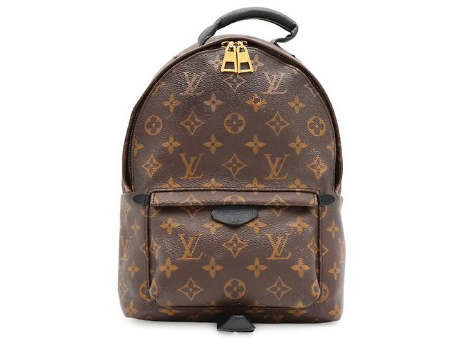 Louis Vuitton Palm Springs Backpack Brown