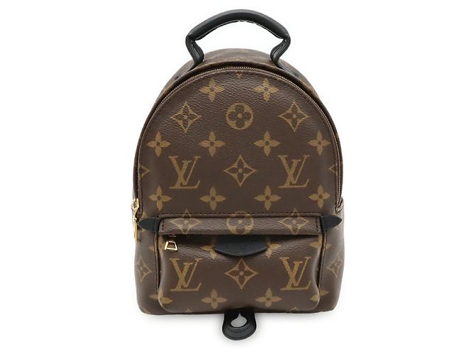 Louis Vuitton Palm Springs Backpack Brown