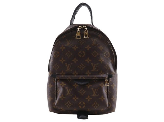 Louis Vuitton Palm Springs PM Backpack Brown