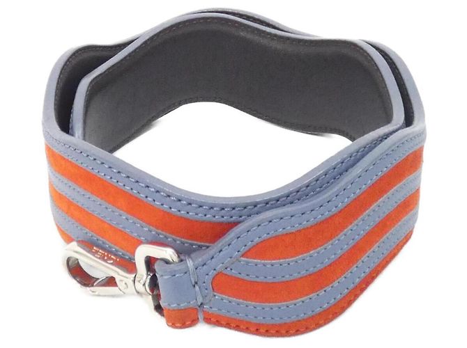 Fendi Strap You 8AV077 S3D Argenté Rouge Bleu clair