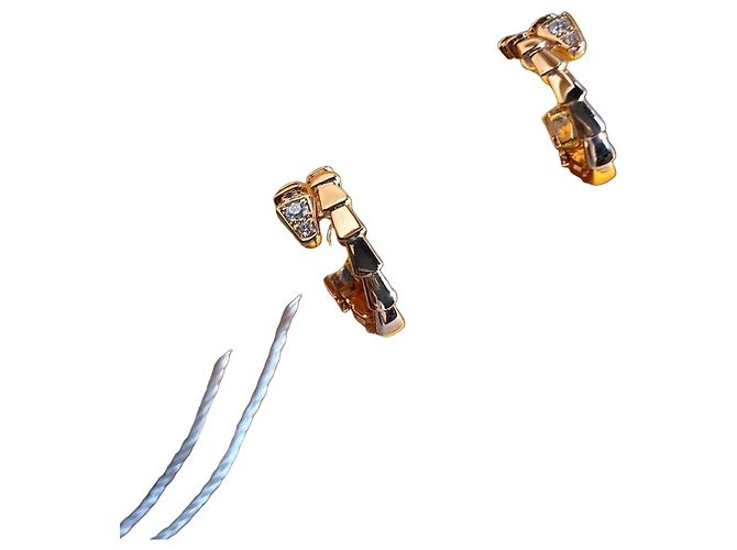 Serpenti Bulgari Ohrringe Golden