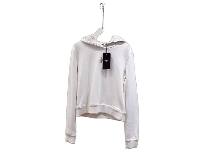 Fendi Strickwaren & Sweatshirts Mehrfarben
