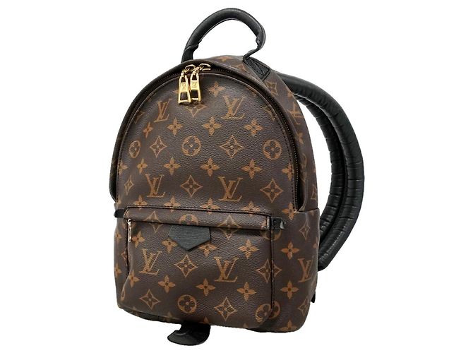 Louis Vuitton Monogram Palm Springs Backpack PM Brown