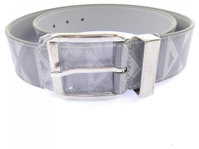 Cintura Christian Dior Standard Gray Marrone