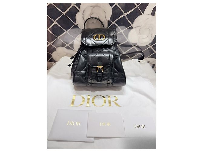 Autre Marque Bolsas Dior Caro Multicor