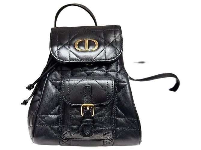 Borse Dior Caro Multicolore