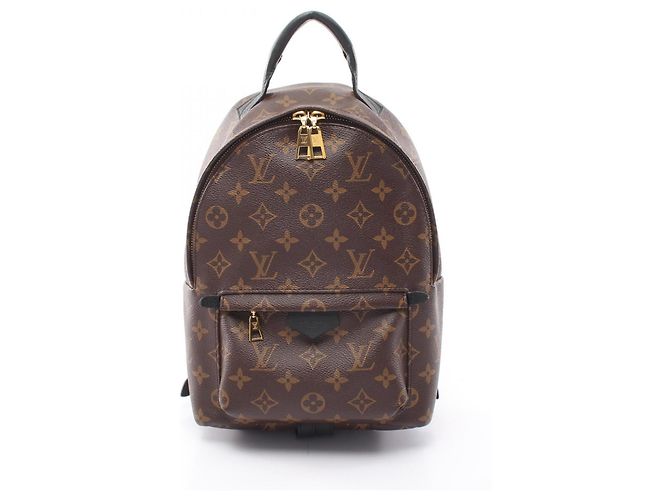 Louis Vuitton Palm Springs PM Monogram Backpack/Handbag Brown Black
