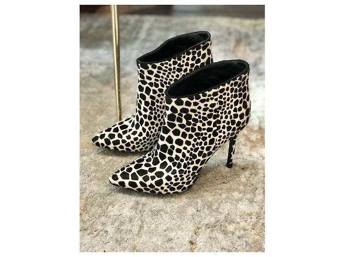 Botines Stella Luna T.38 Negro
