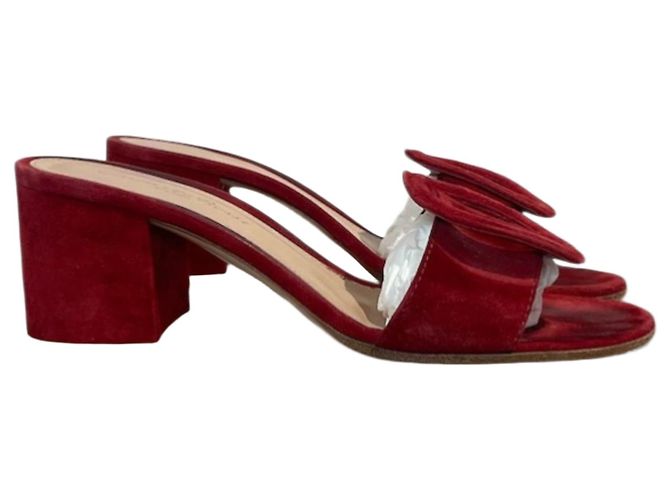 Mules Gianvito Rossi rouge T.37,5 Rot