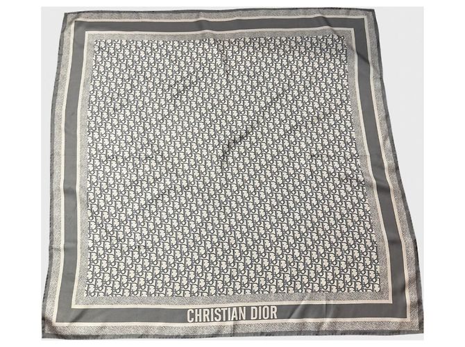 Autre Marque Christian Dior twin Schal blau grau