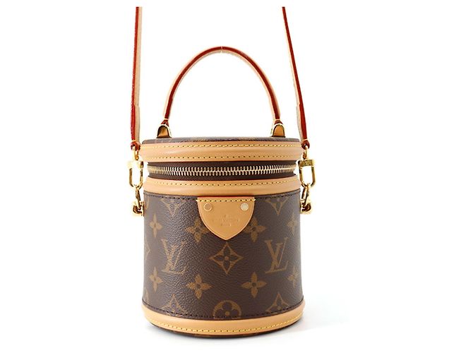 Sac à main Louis Vuitton Monogram Nano Cannes Marron