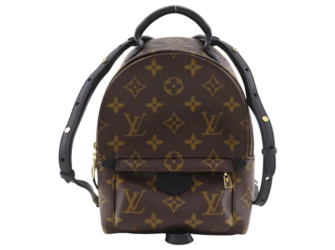 Sac à dos Louis Vuitton Palm Springs MINI Marron Monogramme