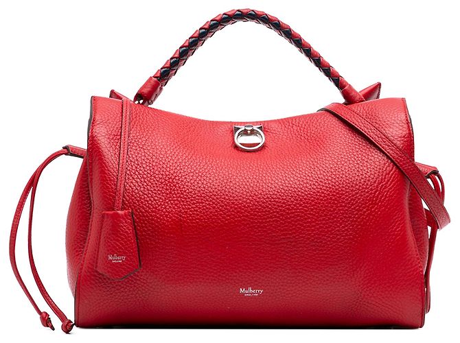Mulberry Red Medium Grained Calfskin Iris Satchel Rouge