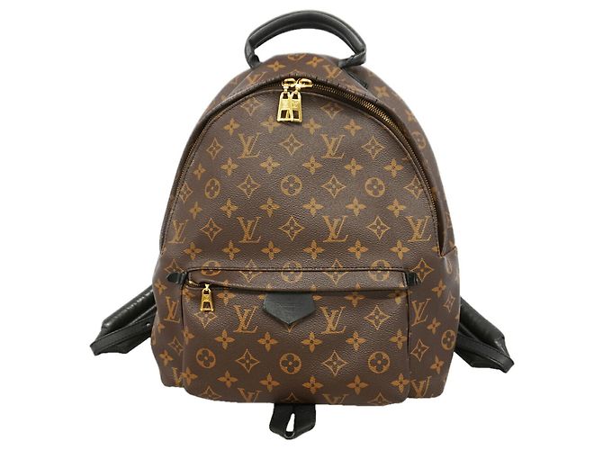 Louis Vuitton Monogram Palm Springs Backpack MM Brown