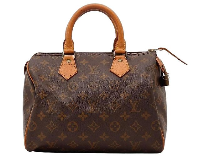 Louis Vuitton Speedy 30 Monogram Canvas Marrone