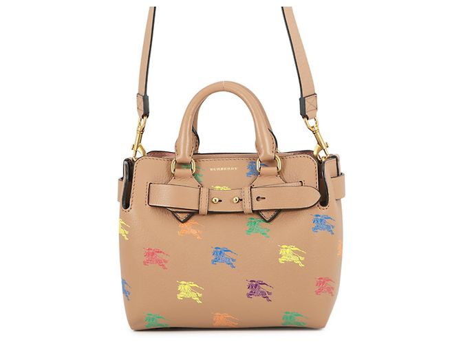 Burberry Lederhandtasche Braun Mehrfarben