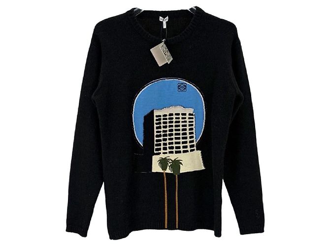 Jersey de lana Loewe Negro Multicolor