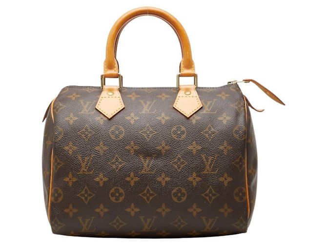 Louis Vuitton Monogram Speedy 25 Mini Boston Bag Marrom