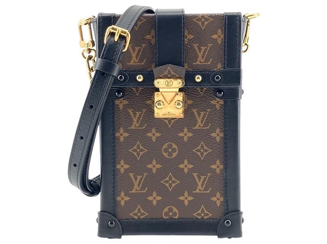 Louis Vuitton Brown Monogram Pochette Trunk Verticale Marrone
