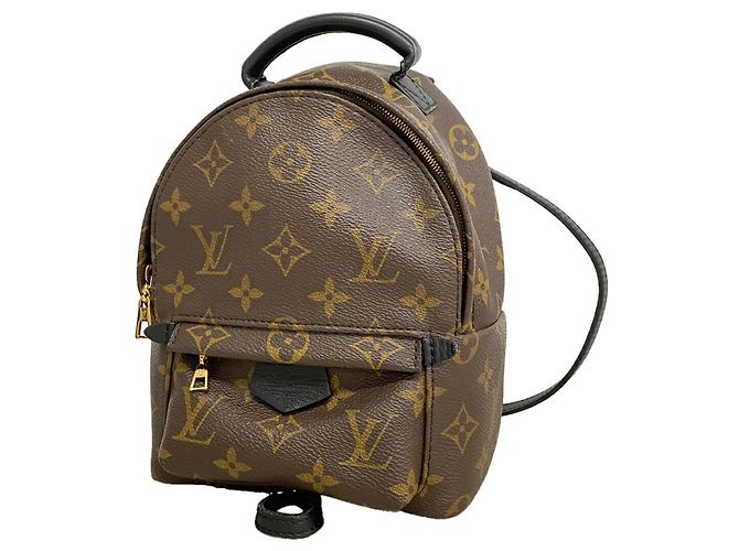 Louis Vuitton Monogram Palm Springs Backpack MINI Brown