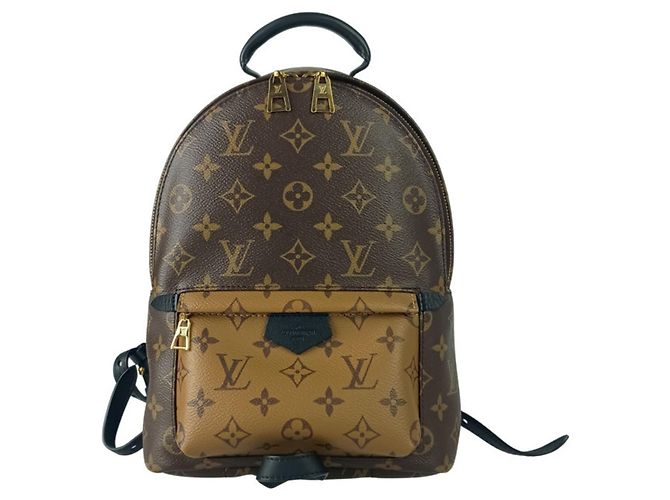 Louis Vuitton Palm Springs Backpack PM Brown