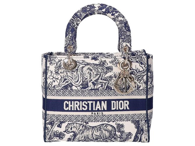 Borsa Christian Dior LADY D-LITE Medium Toile de Jouy Embroidery Blu