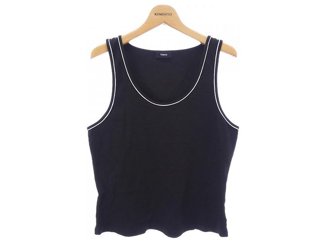 Theory Top Schwarz