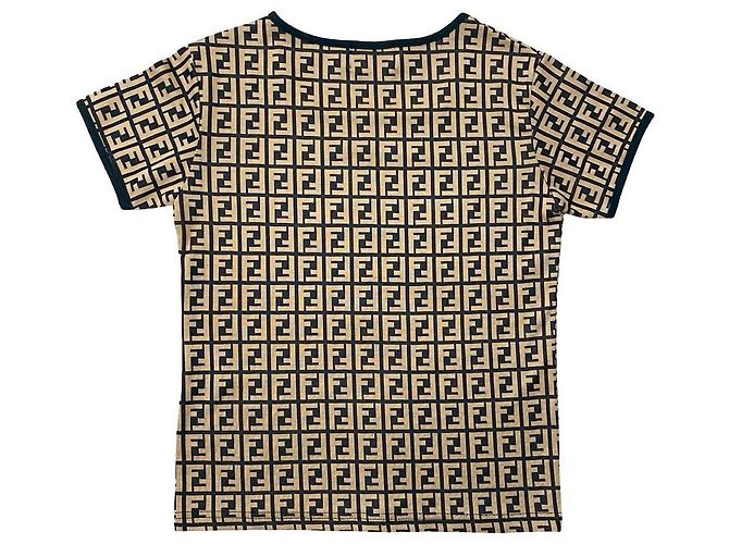 Fendi Polyester Cutsew Brown Black
