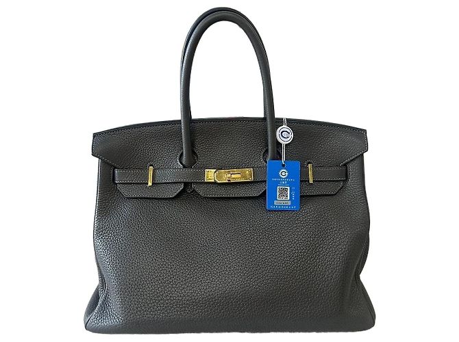 Bolsas de mão Hermès Birkin Multicor