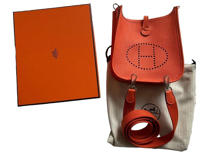 Hermès Mini Evelyne Tasche in Orange