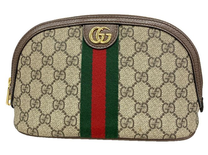 Borsa/Pouch Gucci Ophidia Marrone