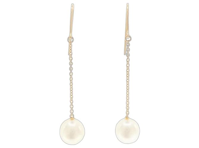 Autre Marque Orecchini a lobo Tiffany & Co. in oro rosa 18K