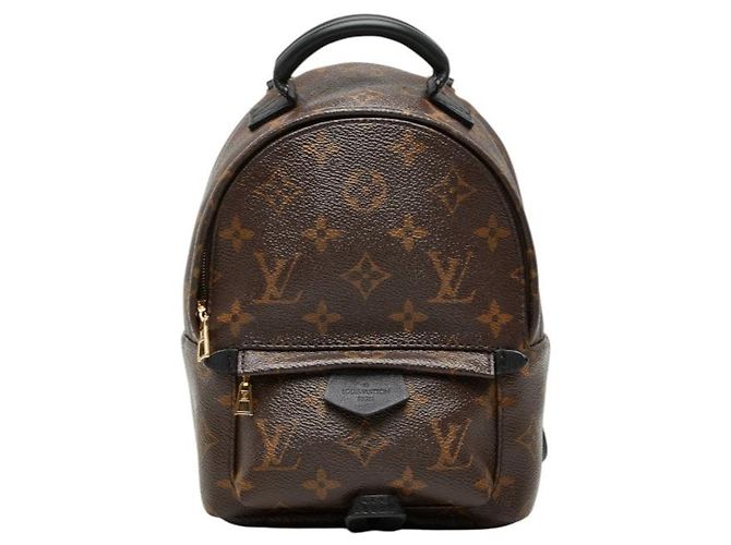 Mochila Louis Vuitton Palm Springs Mini Monogram Multicor