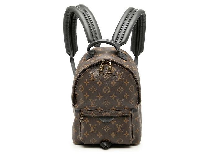 Louis Vuitton Palm Springs PM Rucksack Braun