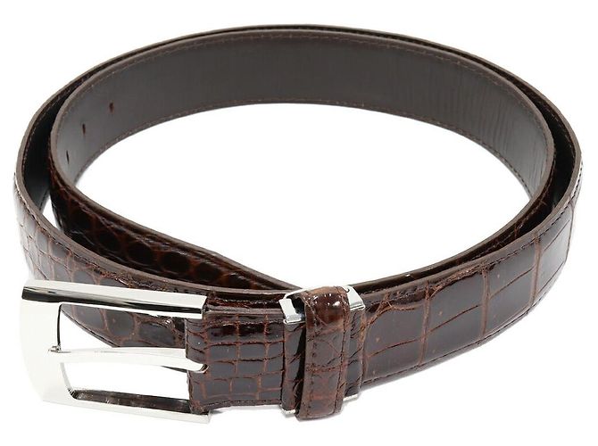 Autre Marque Cinturón de cocodrilo Castaño