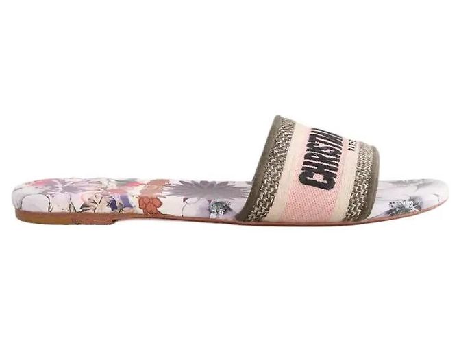 Autre Marque Multicolor embroidered Dway mules Multiple colors